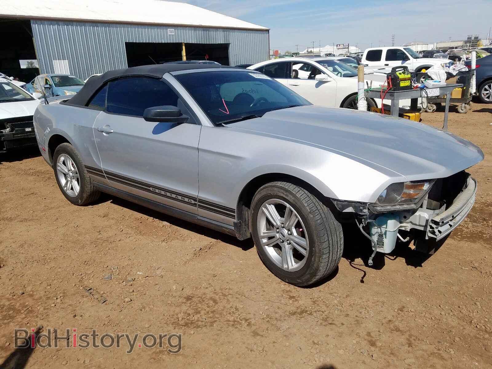 Photo 1ZVBP8EN8A5179221 - FORD MUSTANG 2010