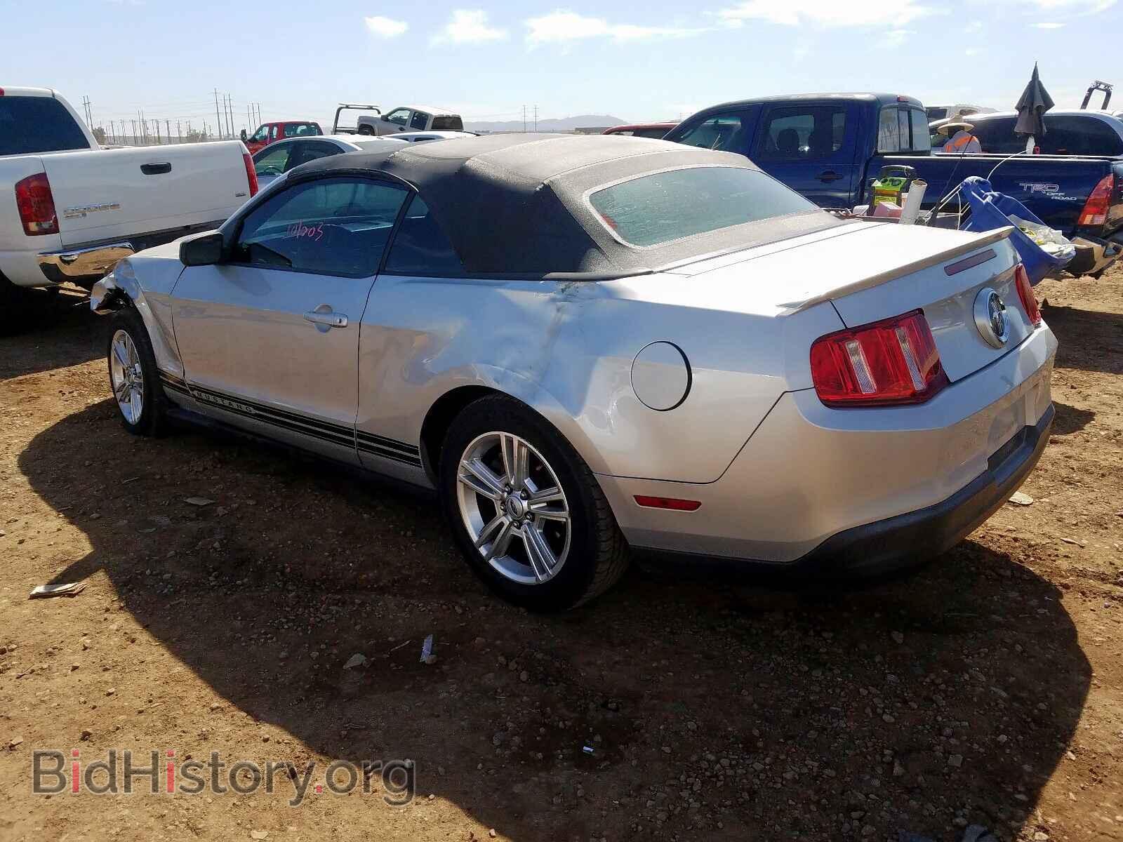 2010 FORD MUSTANG - VIN: 1ZVBP8EN8A5179221 - Фото 3