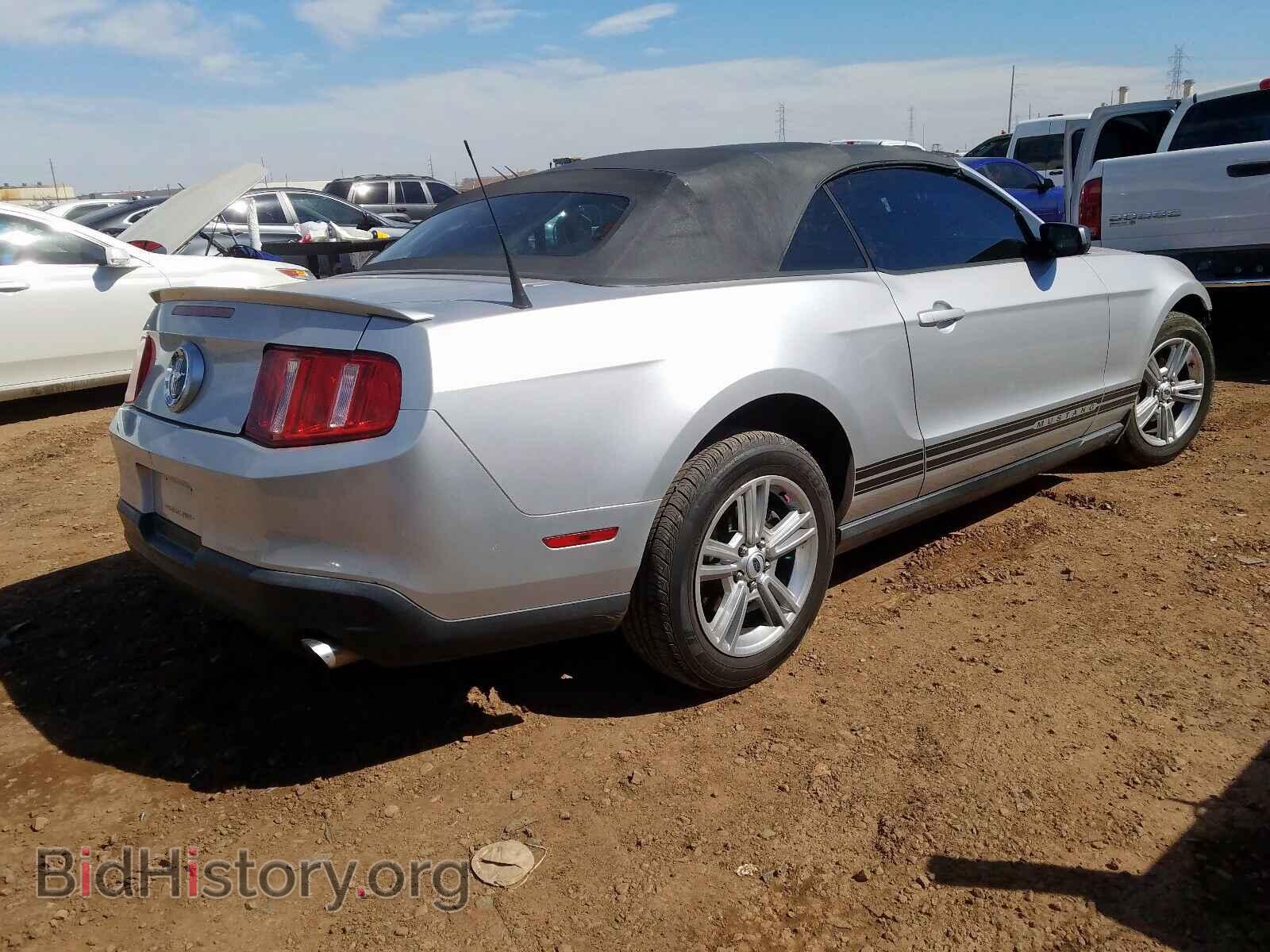 2010 FORD MUSTANG - VIN: 1ZVBP8EN8A5179221 - Фото 4