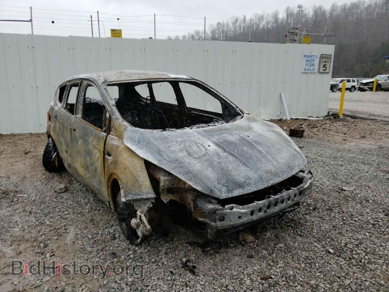 Фотография 1FMCU0GX8DUB52820 - FORD ESCAPE 2013