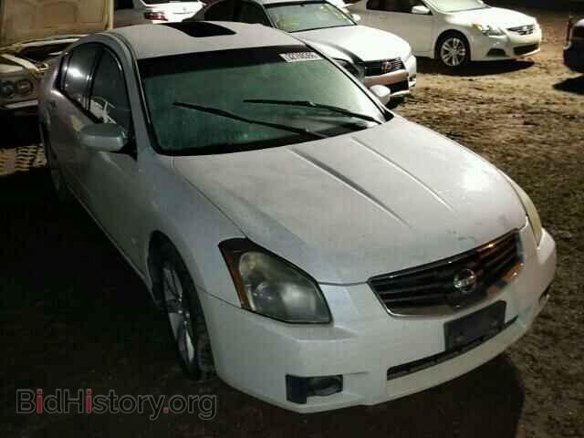 Photo 1N4BA41E28C801701 - NISSAN MAXIMA 2008