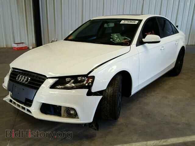 2011 AUDI A4 - VIN: WAUAFAFL7BN042842 - Фото 2