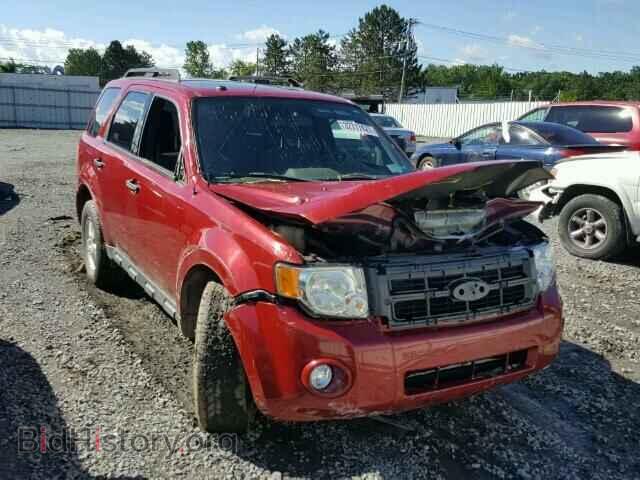 Photo 1FMCU9DG7BKB43480 - FORD ESCAPE 2011