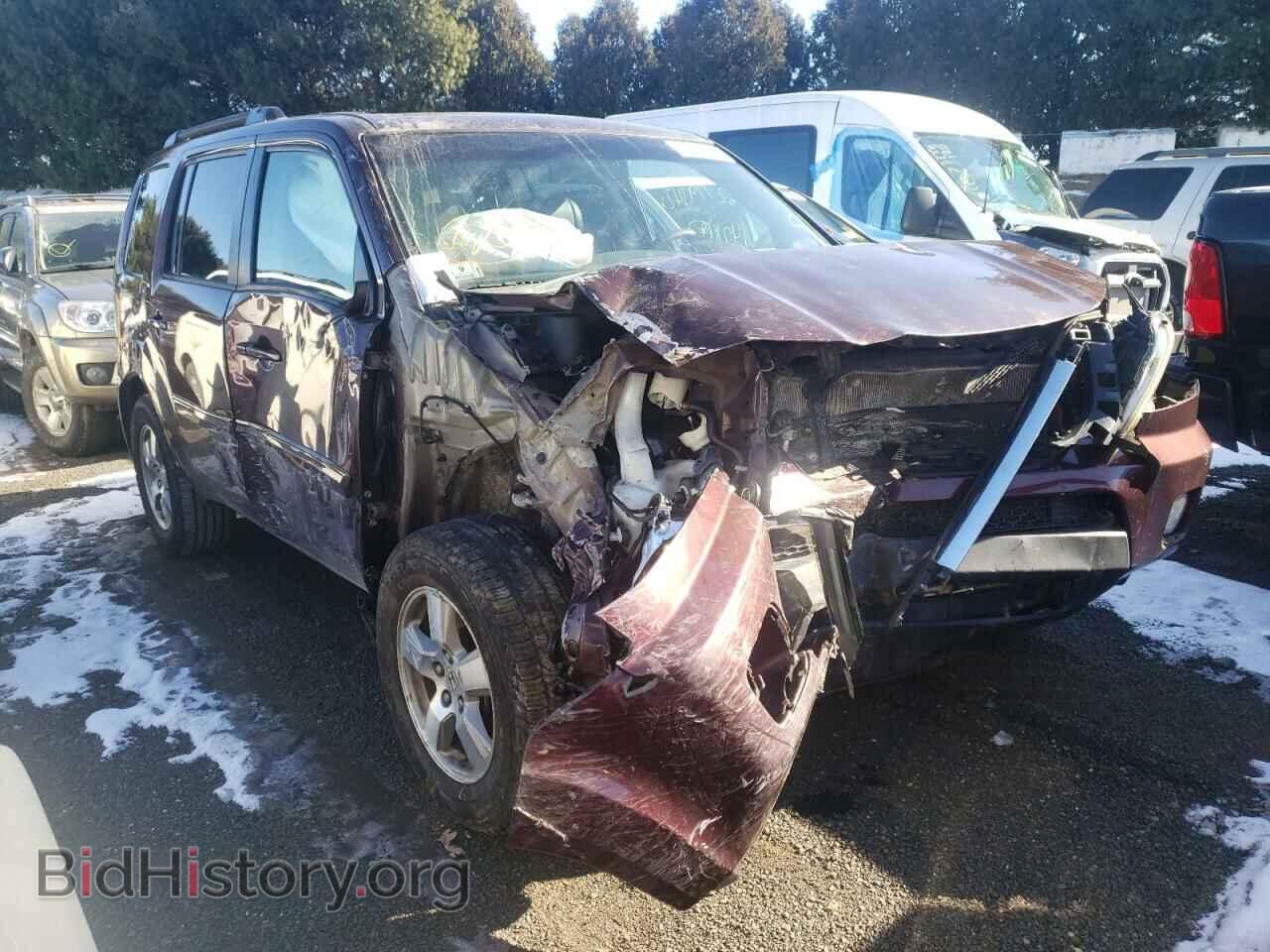 Фотография 5FNYF48539B014806 - HONDA PILOT 2009