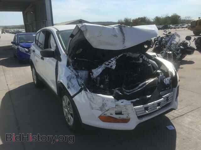 Photo 1FMCU0F72DUA20735 - FORD ESCAPE 2013