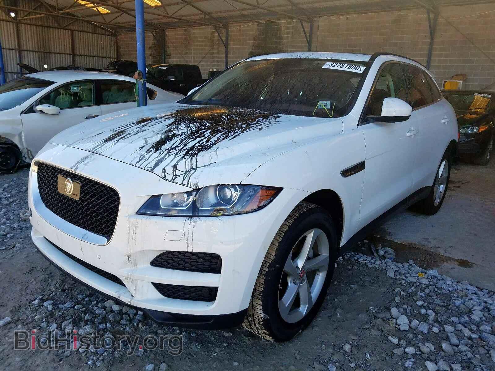 2019 JAGUAR F-PACE - VIN: SADCJ2FX3KA368653 - Фото 2