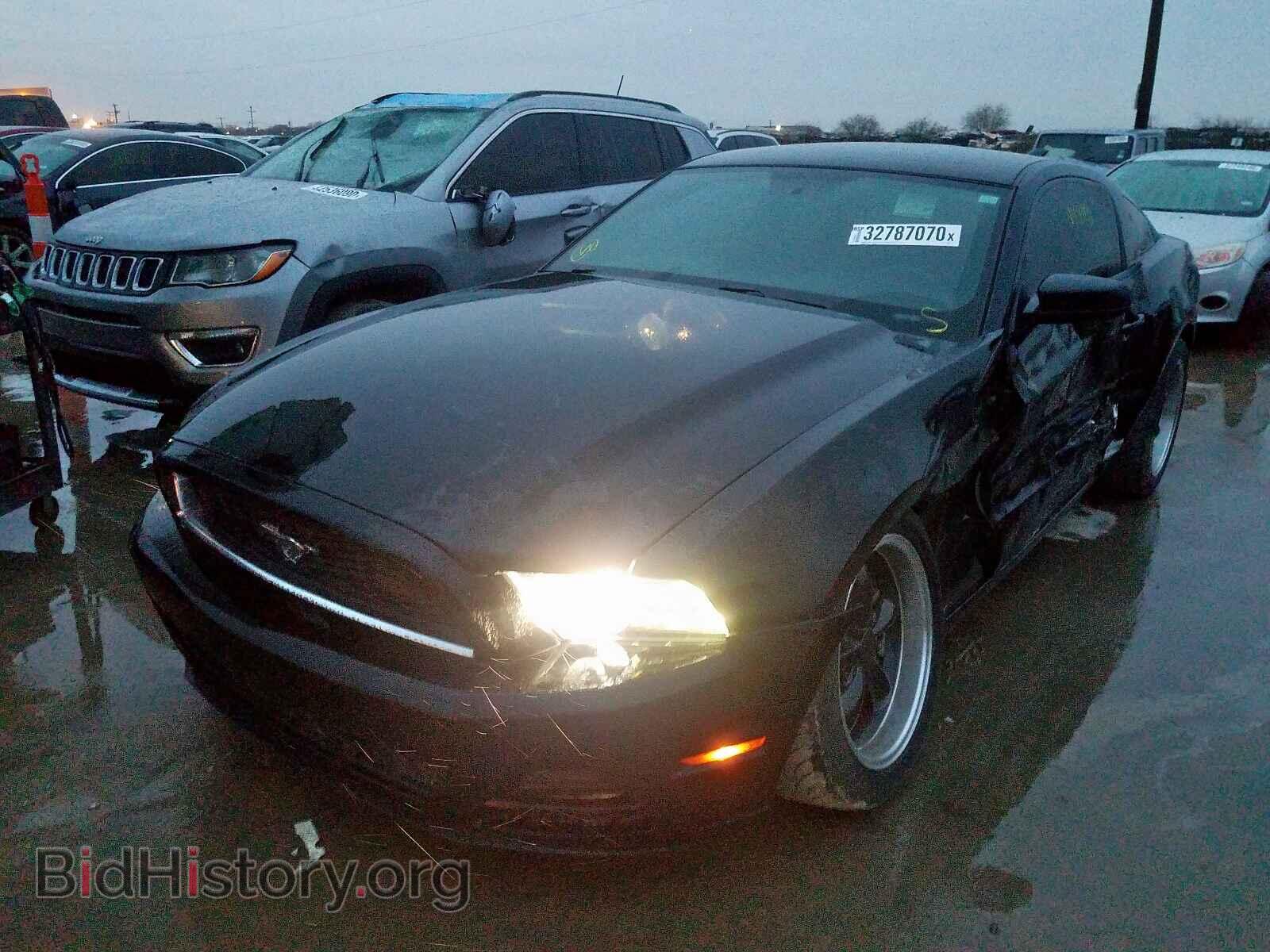 2013 FORD MUSTANG - VIN: 1ZVBP8AM5D5259027 - Фото 2