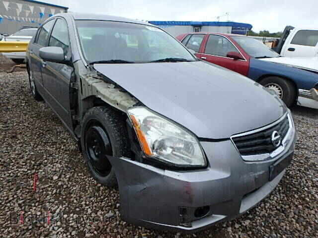 Photo 1N4BA41EX7C849431 - NISSAN MAXIMA 2007