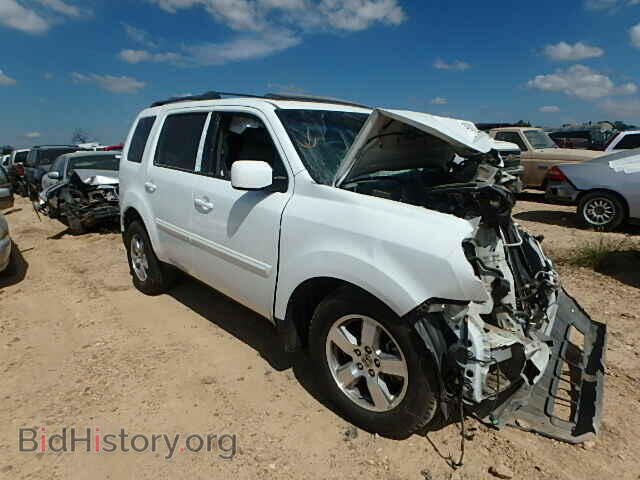 Фотография 5FNYF3H54BB019612 - HONDA PILOT 2011