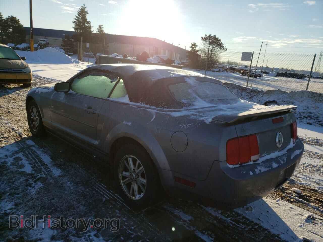 2006 FORD MUSTANG - VIN: 1ZVFT84N765230309 - Фото 3