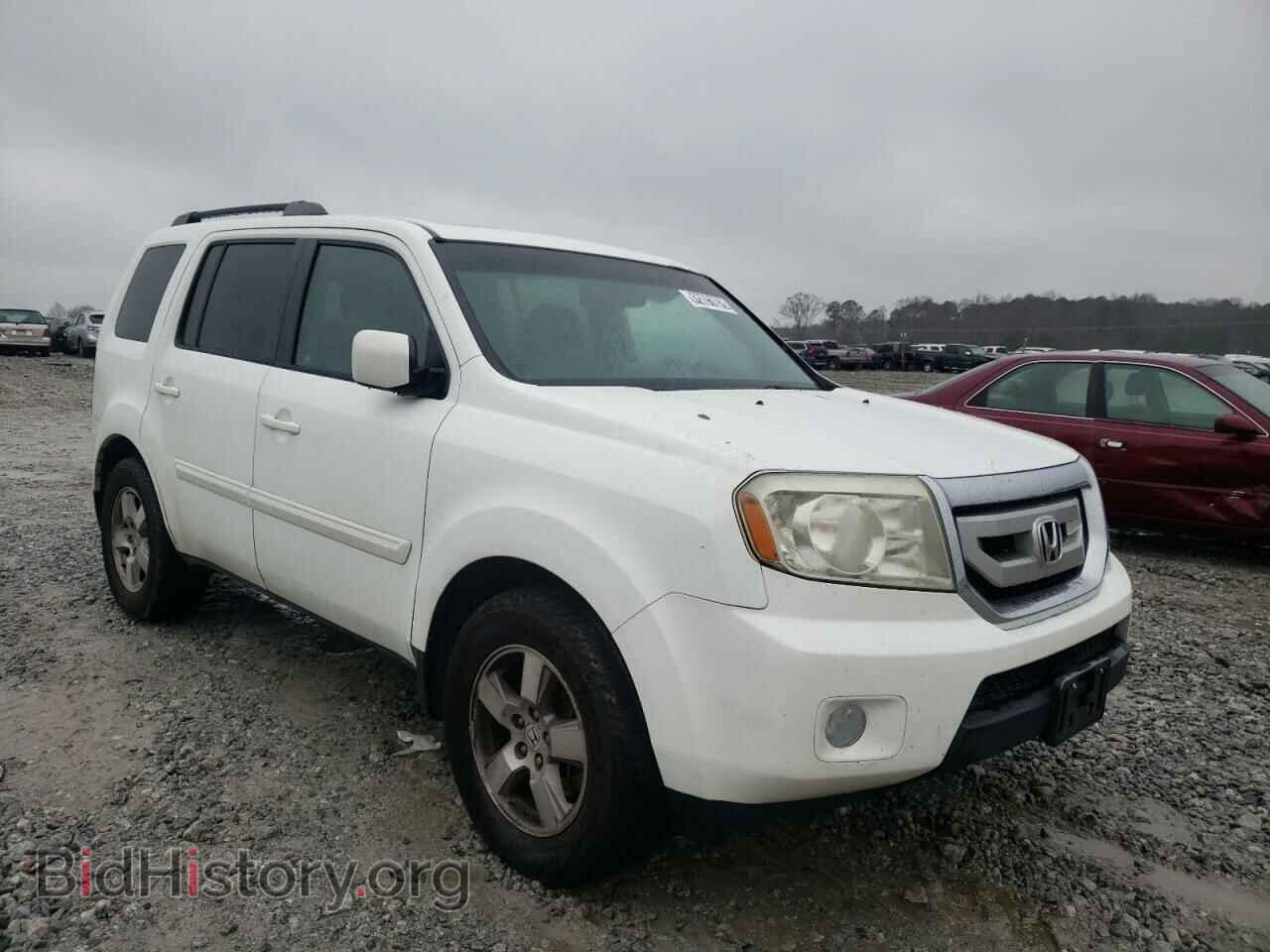 Photo 5FNYF4H54BB025688 - HONDA PILOT 2011