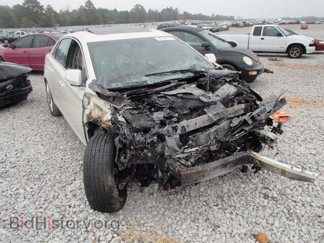 Фотография 2G61U5S36D9208024 - CADILLAC XTS 2013