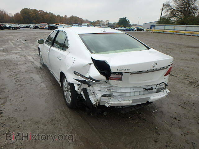 2009 LEXUS LS460 - VIN: JTHCL46F595004311 - Фото 3