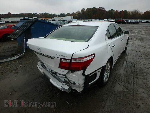 2009 LEXUS LS460 - VIN: JTHCL46F595004311 - Фото 4