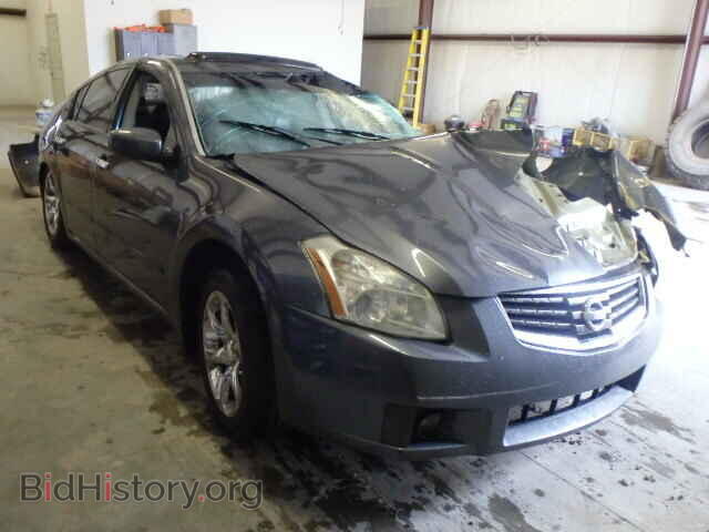 Photo 1N4BA41E18C839324 - NISSAN MAXIMA 2008