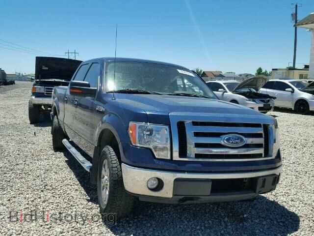 Photo 1FTPW14V59FA74341 - FORD F150 2009