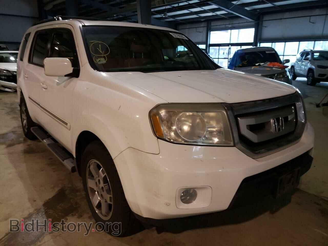 Фотография 5FNYF48899B054950 - HONDA PILOT 2009