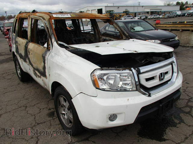 Фотография 5FNYF4H52BB043977 - HONDA PILOT 2011