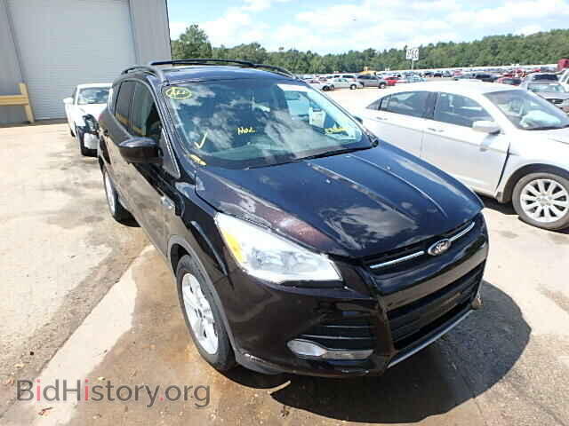 Photo 1FMCU0GX5DUC41664 - FORD ESCAPE 2013