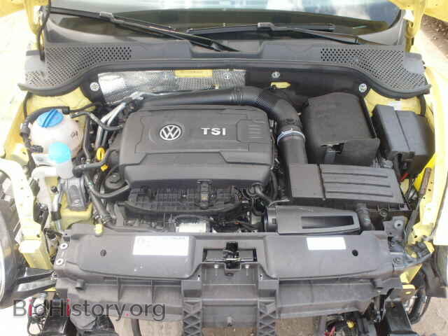 2014 VOLKSWAGEN BEETLE - VIN: 3VWJ17AT8EM646231 - Фото 7