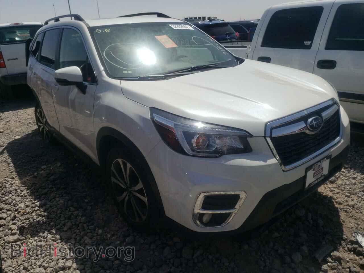 Фотография JF2SKASC0KH539014 - SUBARU FORESTER 2019