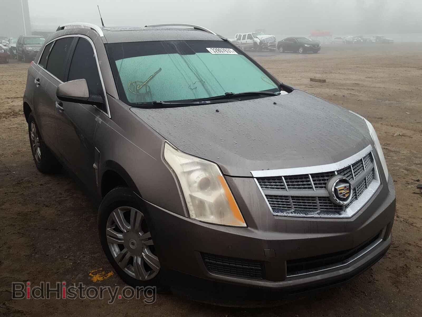 Photo 3GYFNAEY6BS549059 - CADILLAC SRX 2011