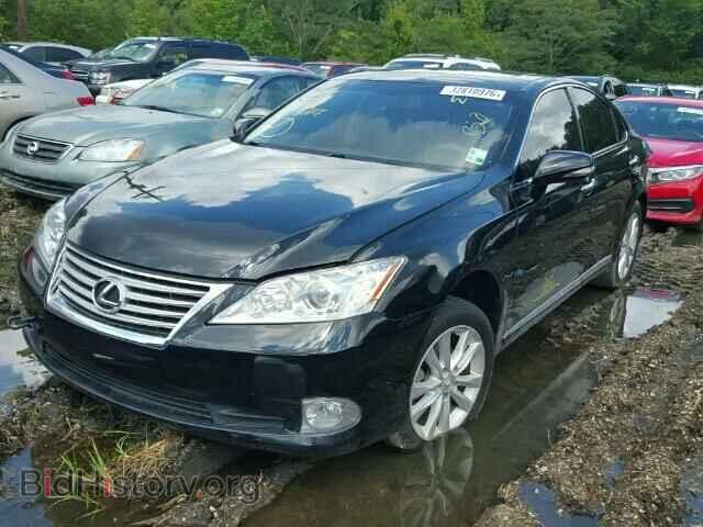 2010 LEXUS ES350 - VIN: JTHBK1EG3A2383662 - Фото 2