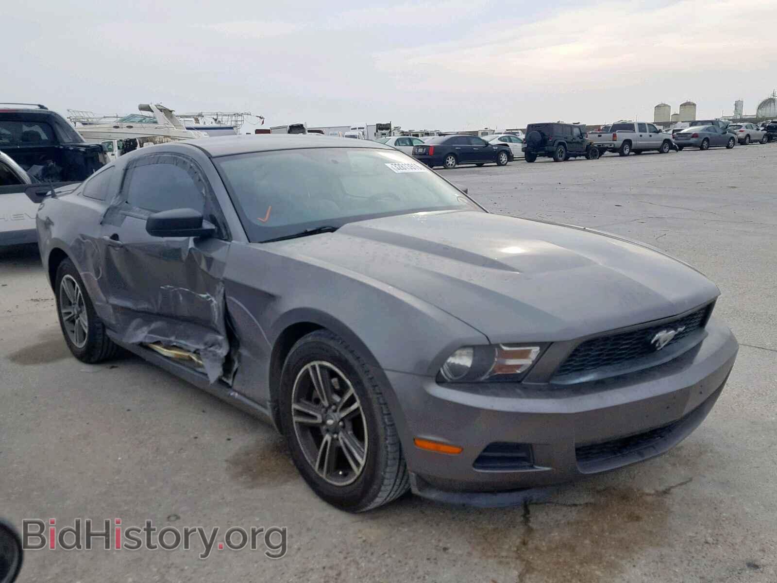 Фотография 1ZVBP8AM3B5111455 - FORD MUSTANG 2011