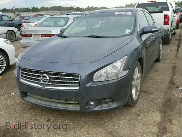 2009 NISSAN MAXIMA - VIN: 1N4AA51E59C815014 - Фото 2