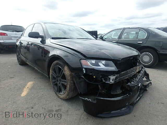 Фотография WAUBFAFL8AN007097 - AUDI A4 2010