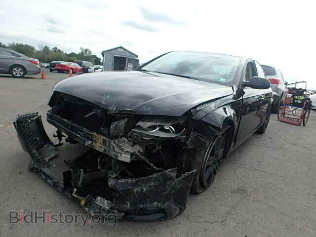 2010 AUDI A4 - VIN: WAUBFAFL8AN007097 - Фото 2