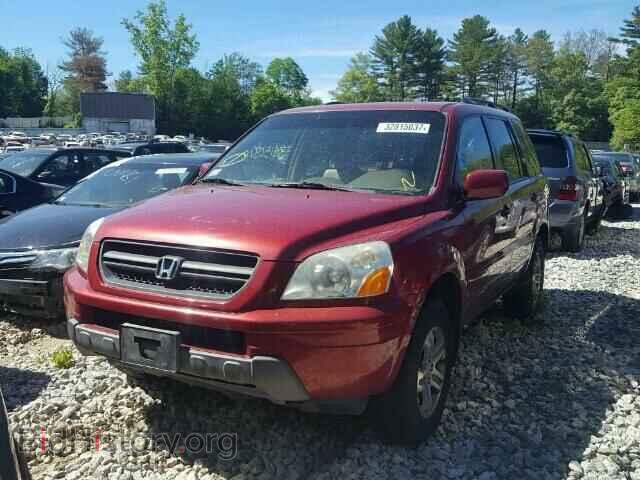 2005 HONDA PILOT - VIN: 2HKYF18665H513618 - Фото 2