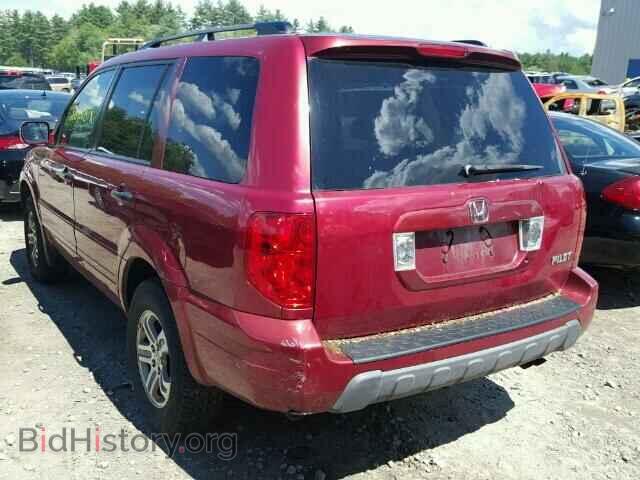 2005 HONDA PILOT - VIN: 2HKYF18665H513618 - Фото 3