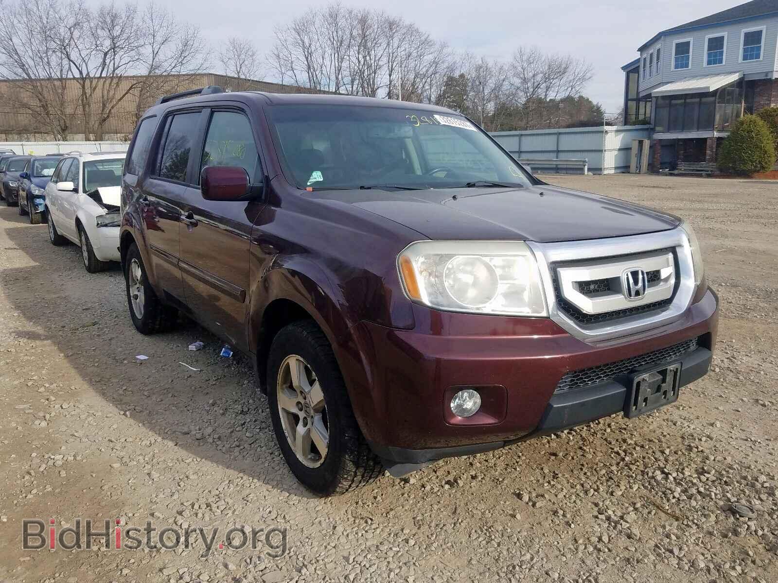 Фотография 5FNYF48509B018442 - HONDA PILOT 2009
