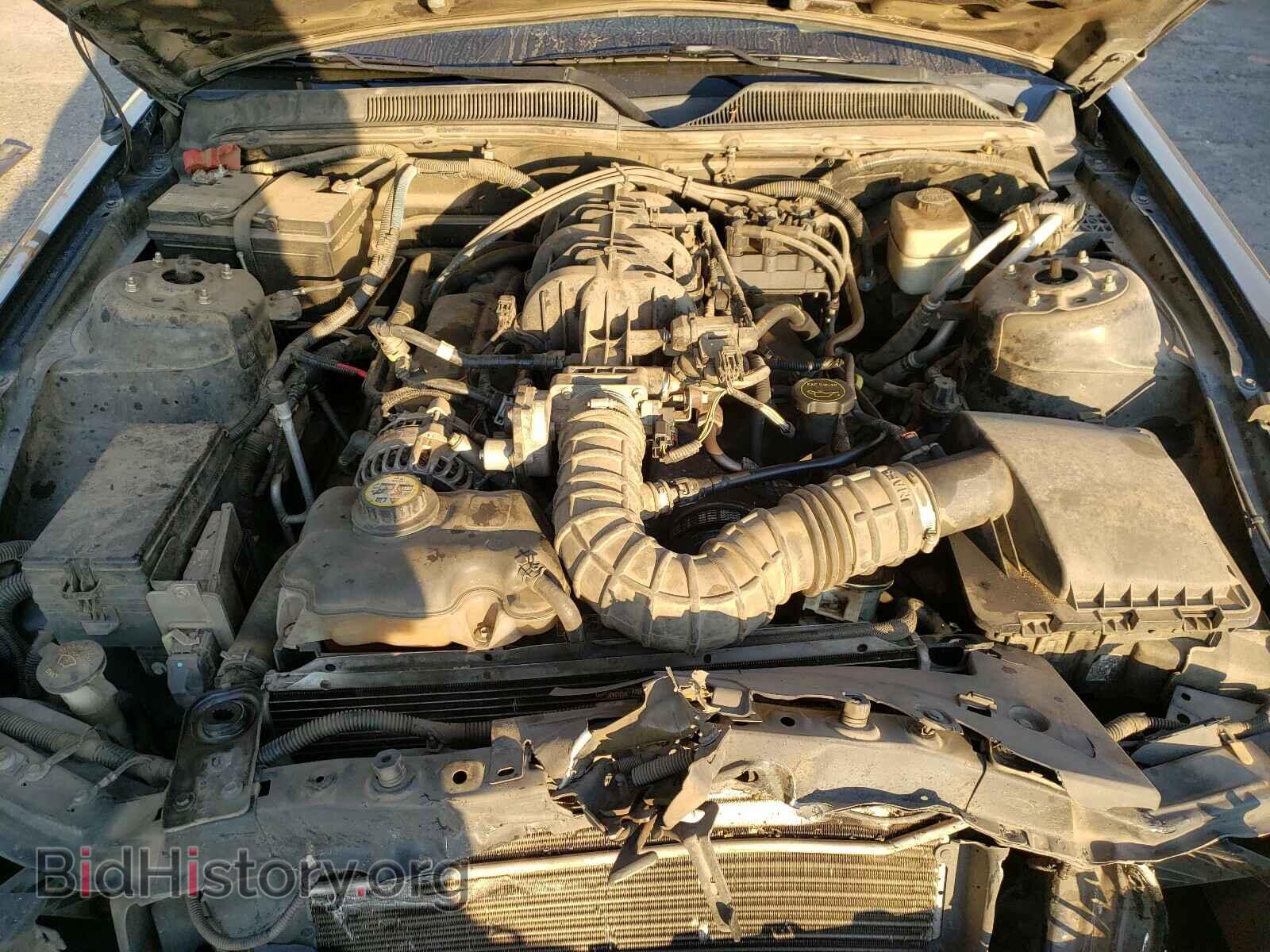 2008 FORD MUSTANG - VIN: 1ZVHT80N585202882 - Фото 7