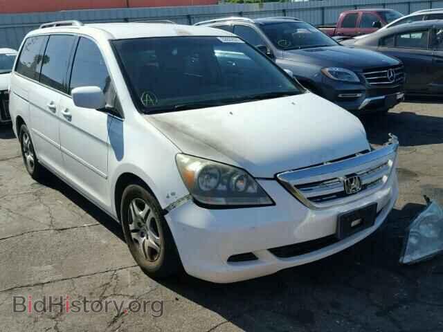 Photo 5FNRL38455B006621 - HONDA ODYSSEY 2005
