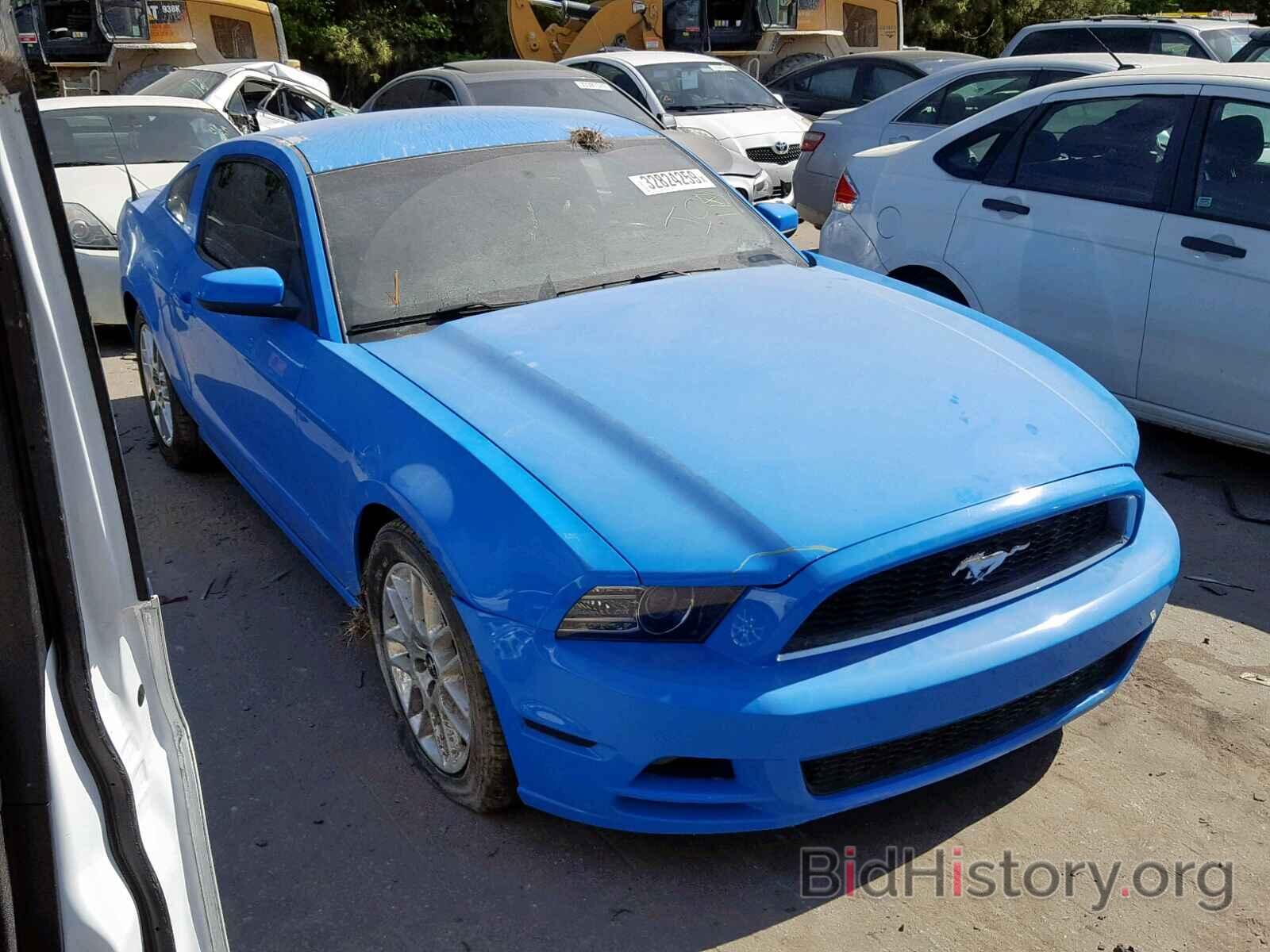 Photo 1ZVBP8AM4E5262437 - FORD MUSTANG 2014