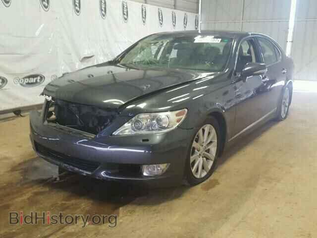 2010 LEXUS LS460 - VIN: JTHCL5EF0A5007287 - Фото 2