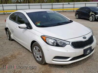 2014 Kia FORTE LX, белый — VIN KNAFK4A69E5059005, Copart