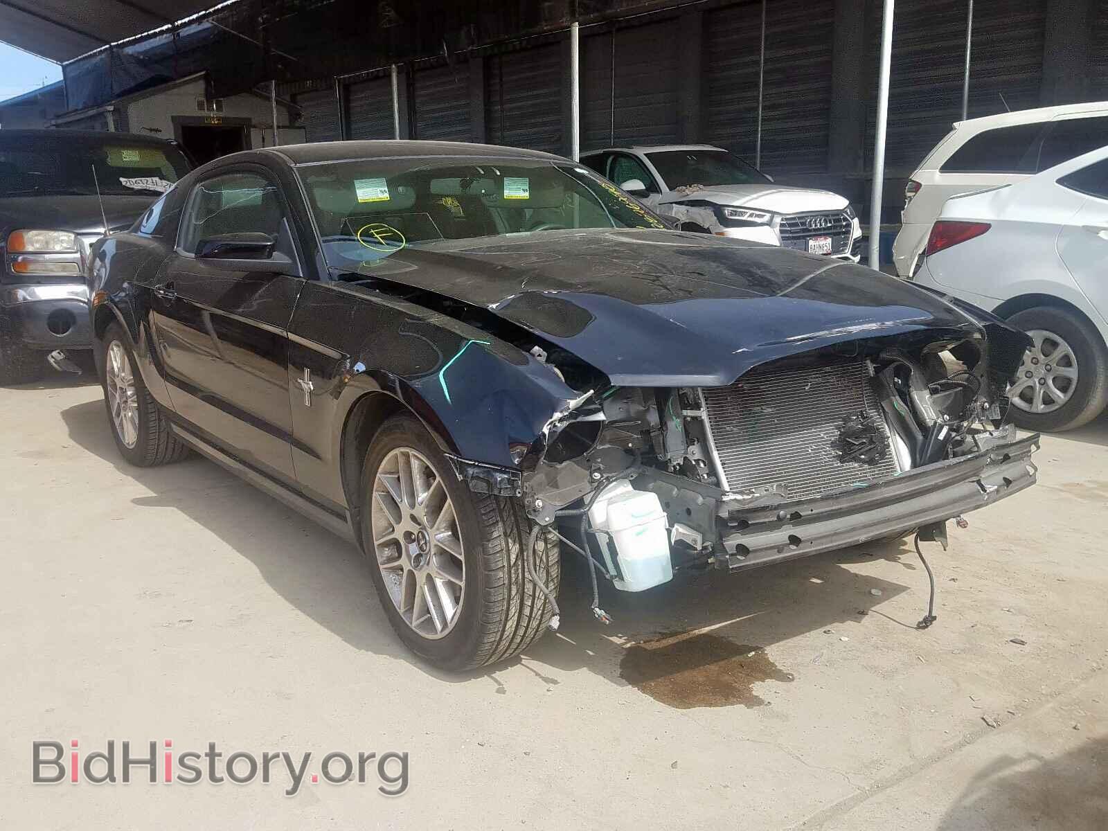 Photo 1ZVBP8AM1E5313781 - FORD MUSTANG 2014