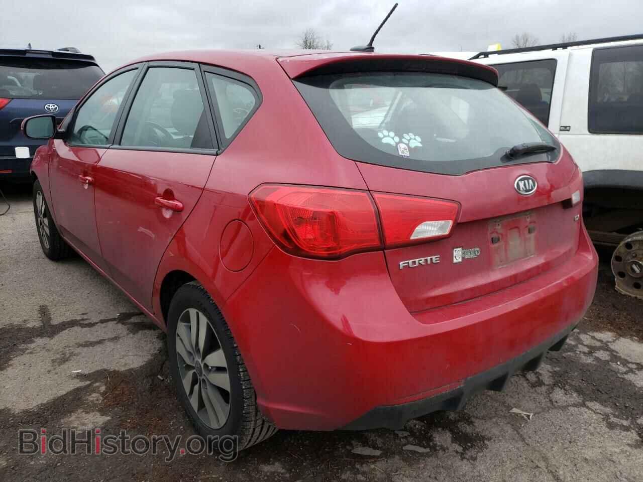 2013 KIA FORTE - VIN: KNAFU5A28D5743958 - Фото 3