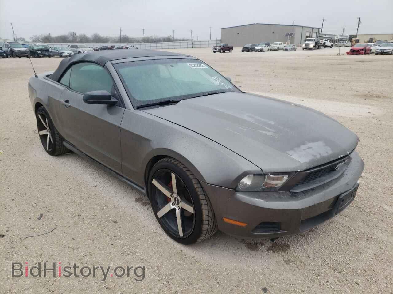 Фотография 1ZVBP8EN1A5122195 - FORD MUSTANG 2010