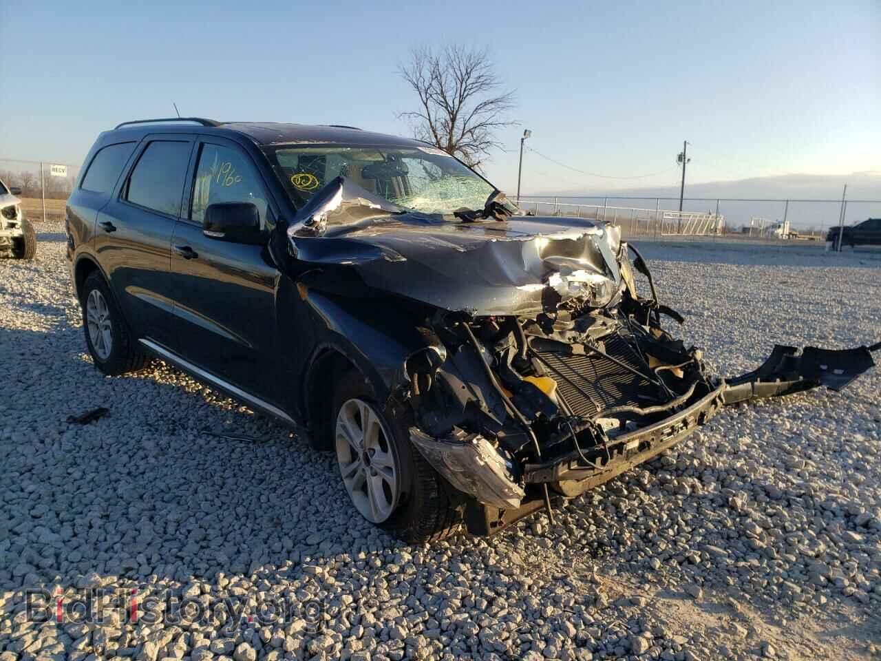 Photo 1D4RE4GG4BC634564 - DODGE DURANGO 2011