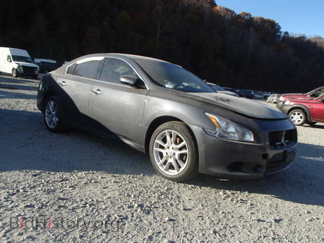 Photo 1N4AA51E39C813813 - NISSAN MAXIMA 2009