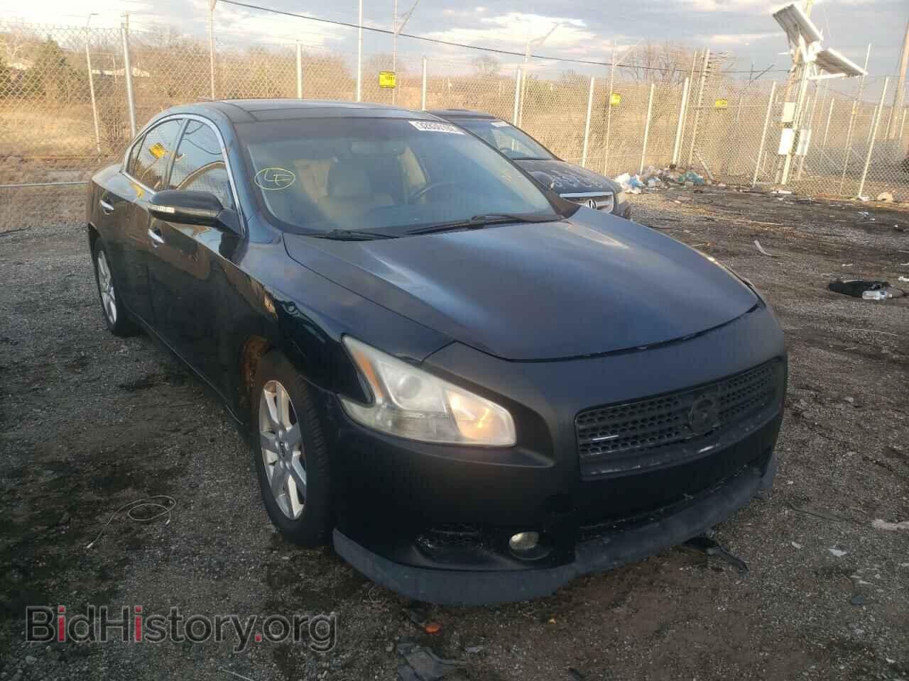 Фотография 1N4AA5AP9BC813273 - NISSAN MAXIMA 2011
