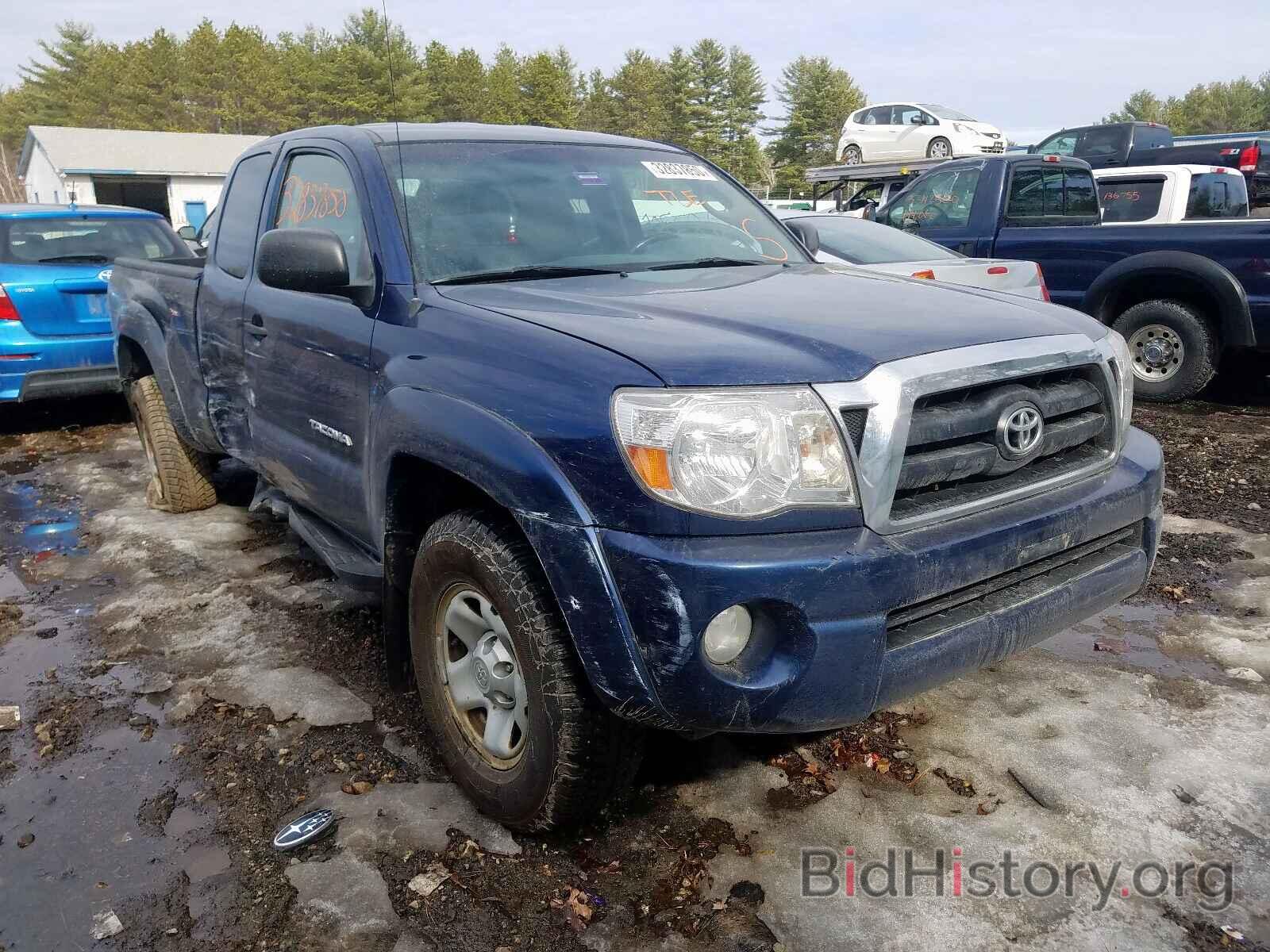 Photo 5TEUU42N38Z584623 - TOYOTA TACOMA 2008