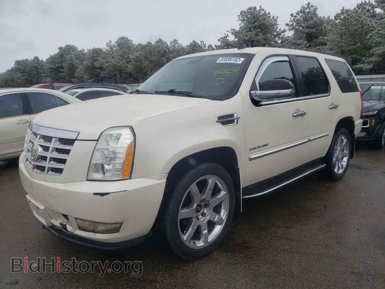2010 CADILLAC ESCALADE - VIN: 1GYUKAEF7AR140259 - Фото 2