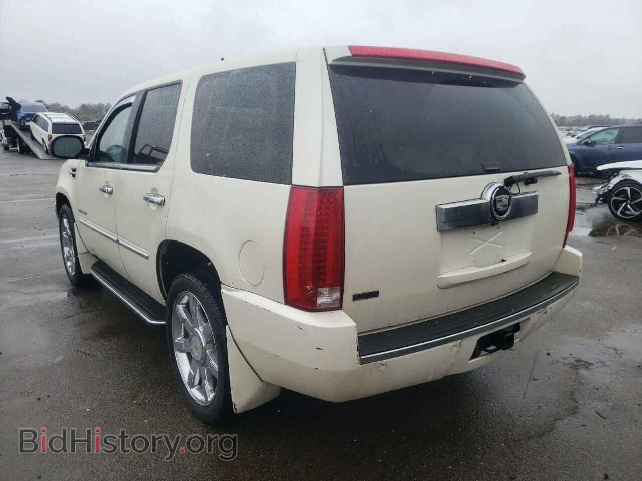 2010 CADILLAC ESCALADE - VIN: 1GYUKAEF7AR140259 - Фото 3