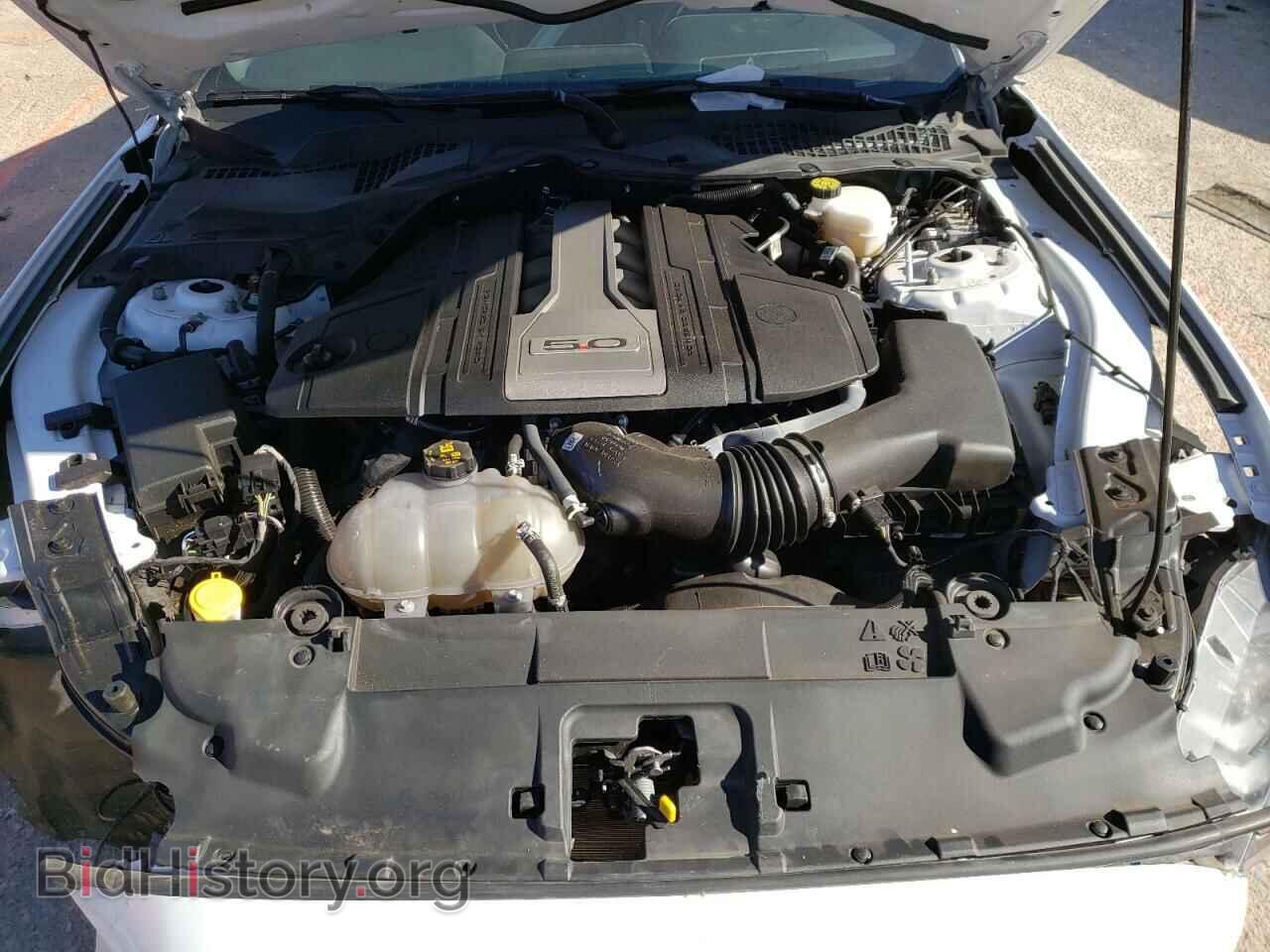 2019 FORD MUSTANG - VIN: 1FA6P8CF6K5196459 - Фото 7