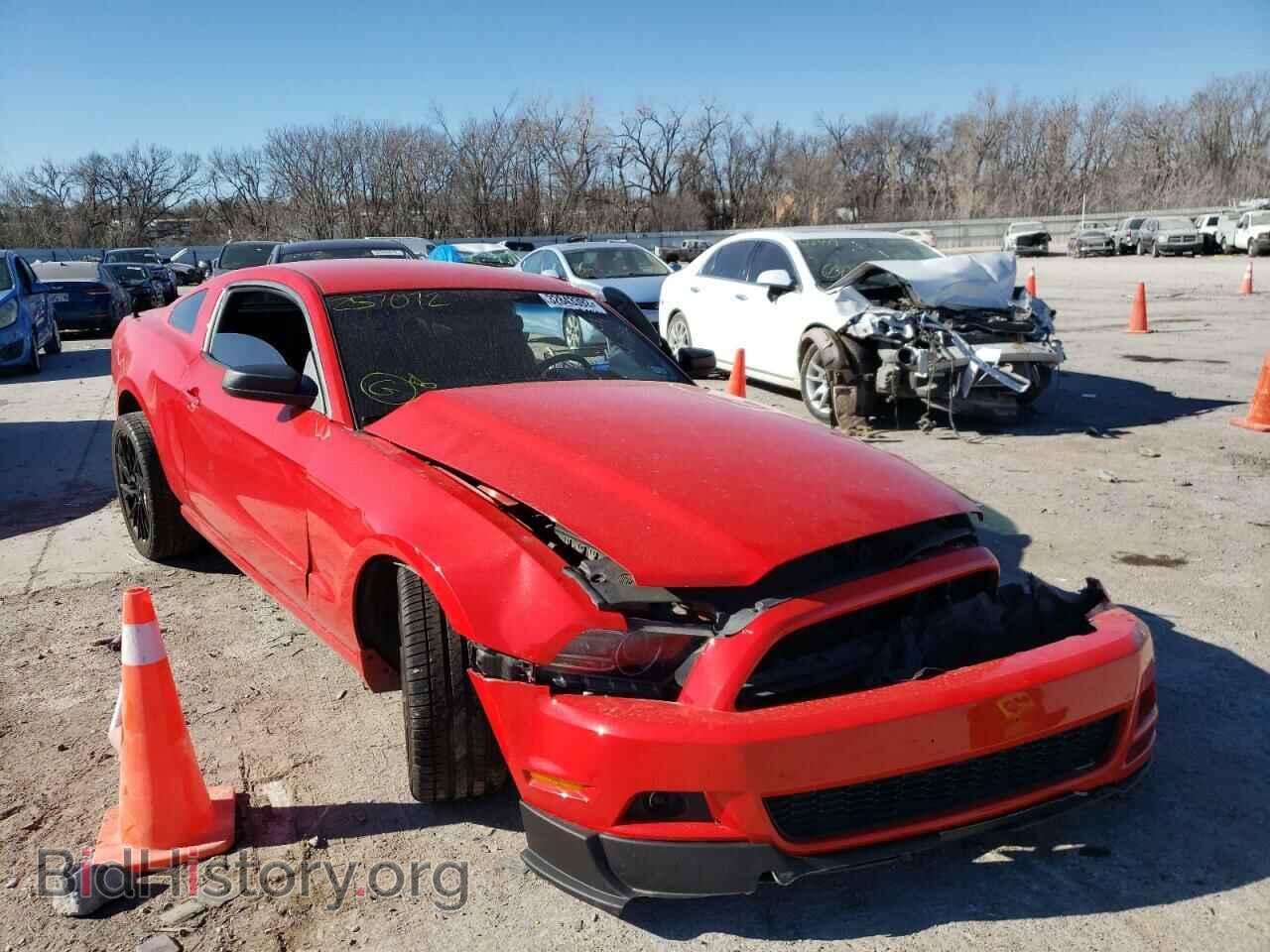 Фотография 1ZVBP8AM9E5257072 - FORD MUSTANG 2014